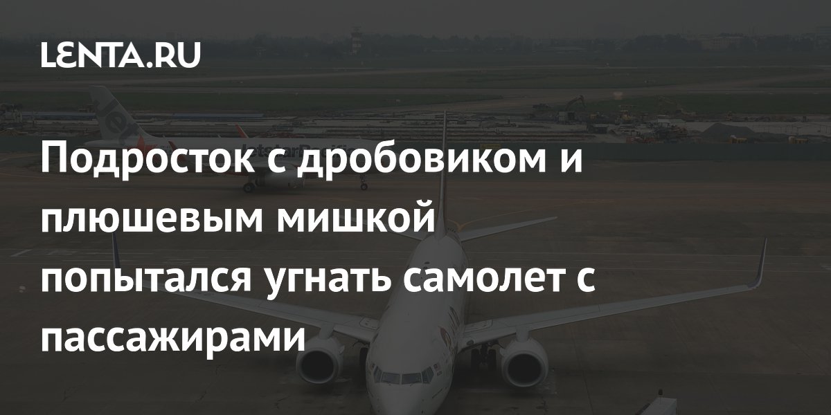Подросток с дробовиком и плюшевым мишкой попытался угнать самолет с пассажирами
