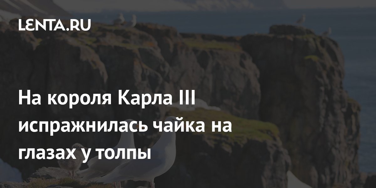 На короля Карла III испражнилась чайка на глазах у толпы