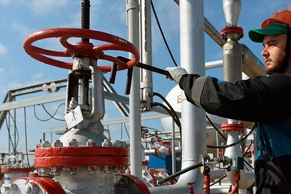 В России предупредили нефтяные компании о недопустимости роста цен