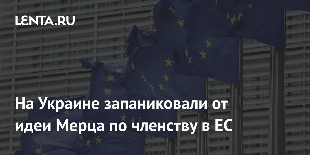 На Украине запаниковали от идеи Мерца по членству в ЕС
