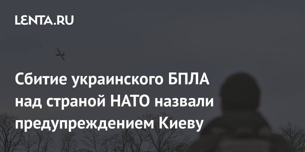 Сбитие украинского БПЛА над страной НАТО назвали предупреждением Киеву