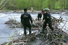 news_image