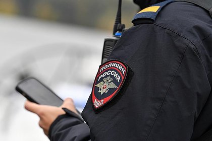 Щенки спаниелей стали &laquo;пособниками&raquo; мошенников в России