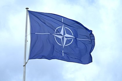 Западный профессор раскритиковал дерзкий шаг НАТО против России