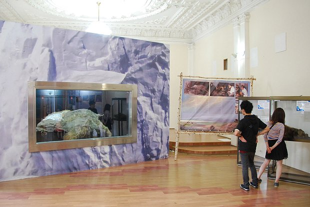 Мамонтенок Юка