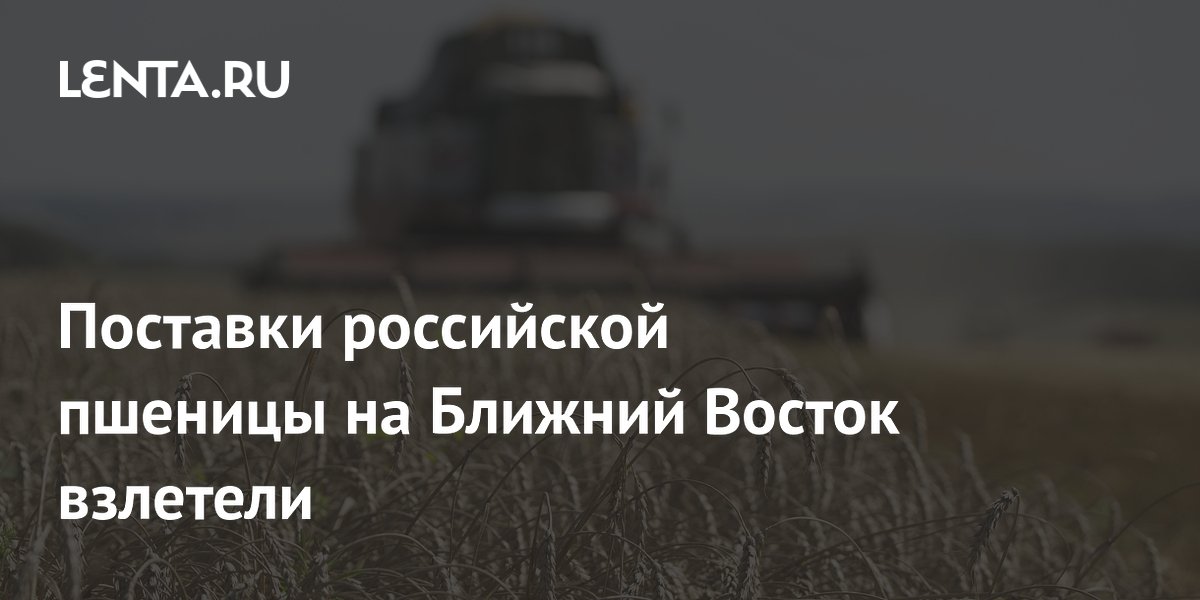Поставки российской пшеницы на Ближний Восток взлетели