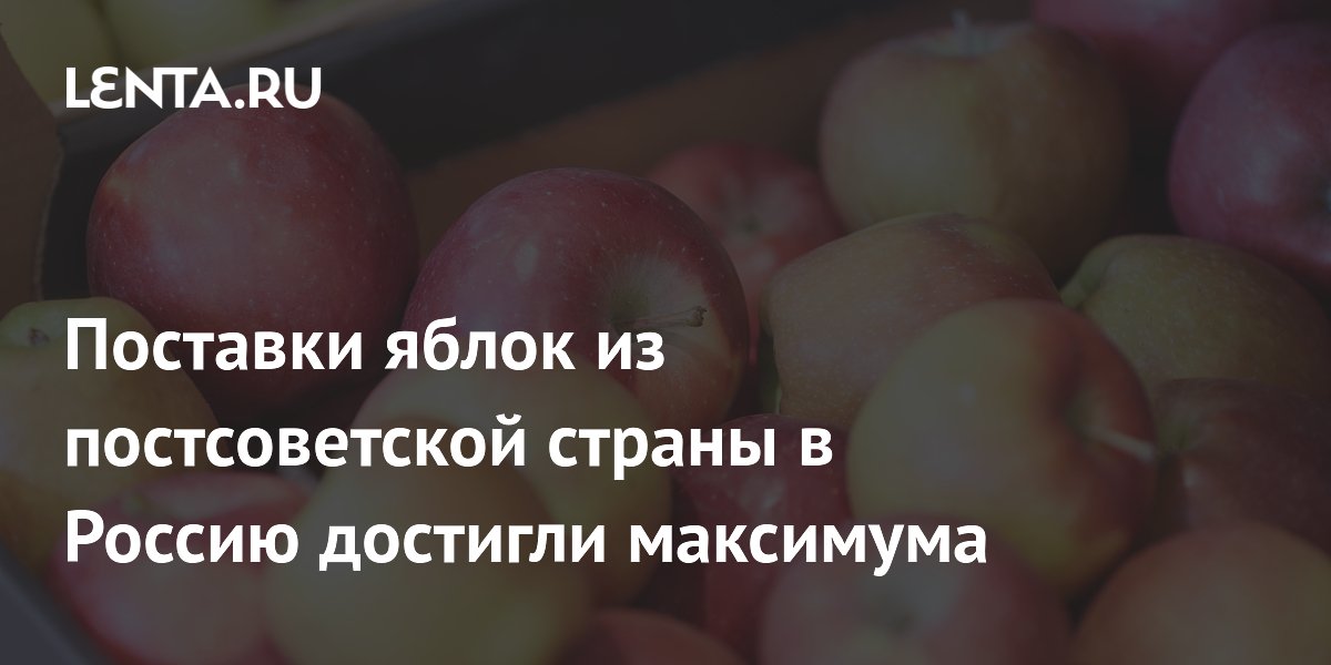 Поставки яблок из постсоветской страны в Россию достигли максимума