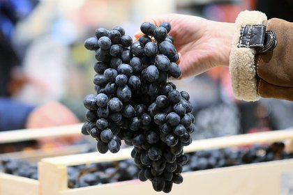 Перечислены способные улучшать работу мозга продукты