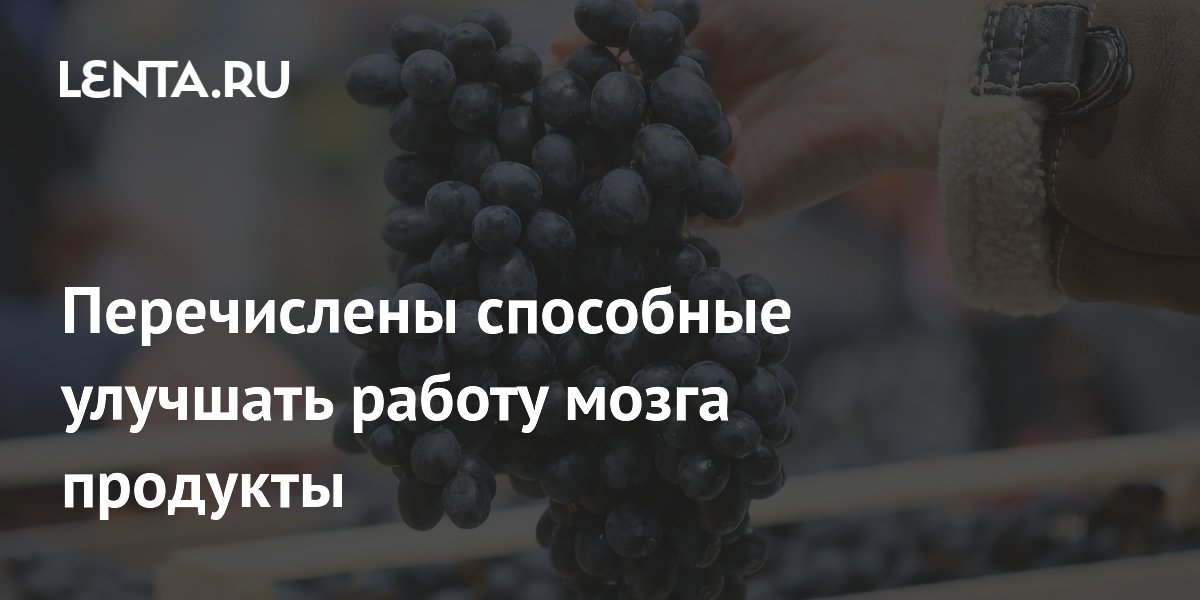 Перечислены способные улучшать работу мозга продукты