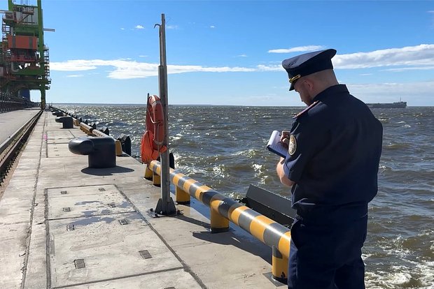 Вводная картинка