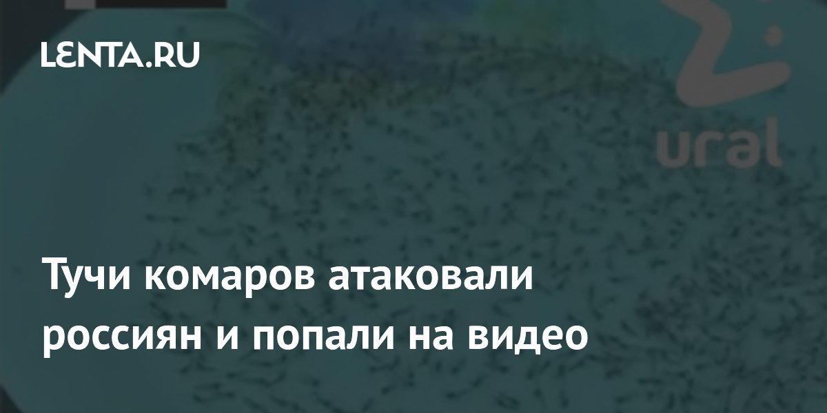 Тучи комаров атаковали россиян и попали на видео