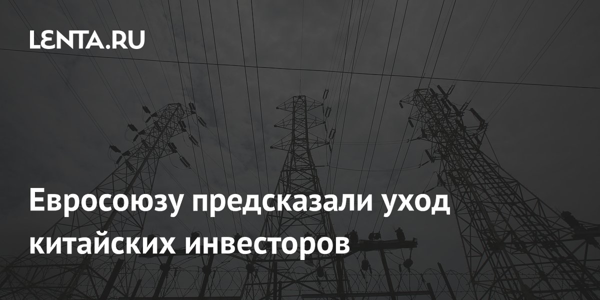 Евросоюзу предсказали уход китайских инвесторов