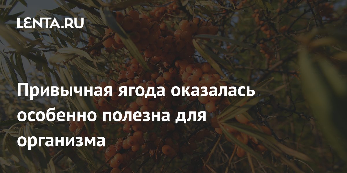 Привычная ягода оказалась особенно полезна для организма