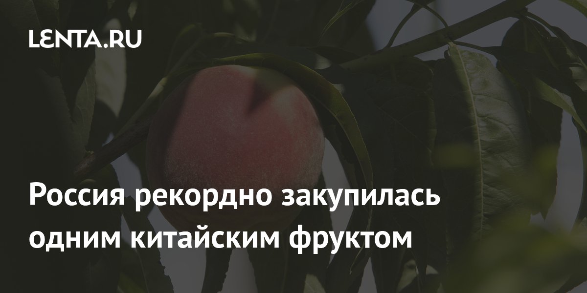 Россия рекордно закупилась одним китайским фруктом