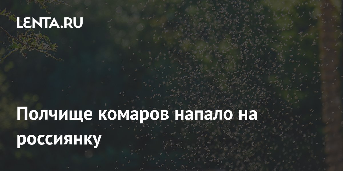Полчище комаров напало на россиянку
