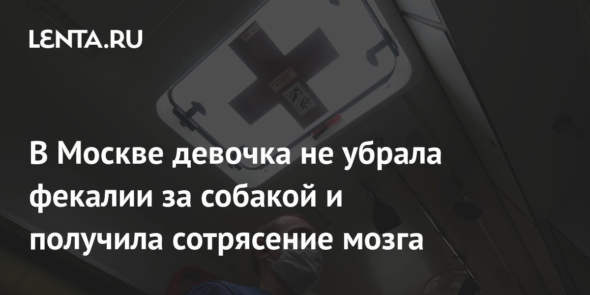 В Москве девочка не убрала фекалии за собакой и получила сотрясение мозга