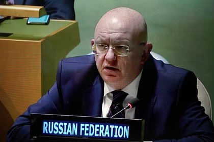 Российский постпред пригласил коллег из Совбеза ООН в Старобельск