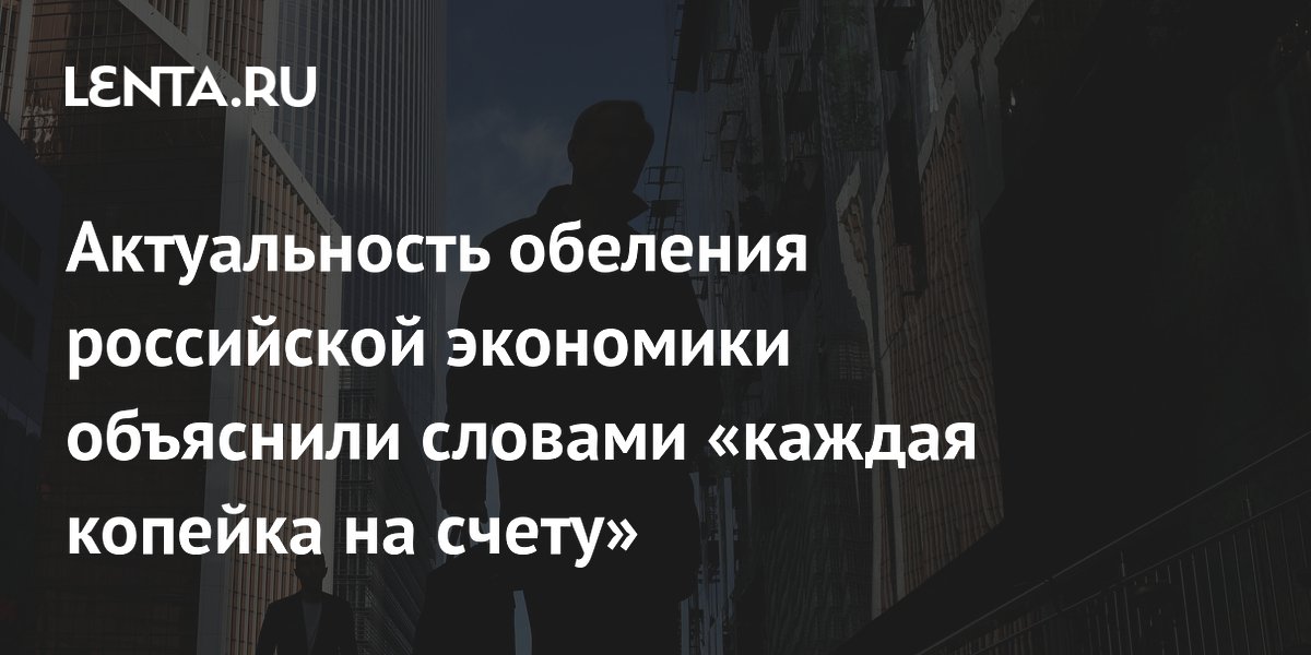 Актуальность обеления российской экономики объяснили словами «каждая копейка на счету»
