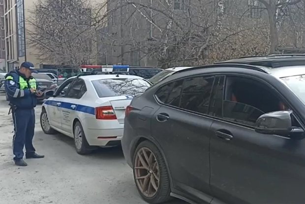 Вводная картинка