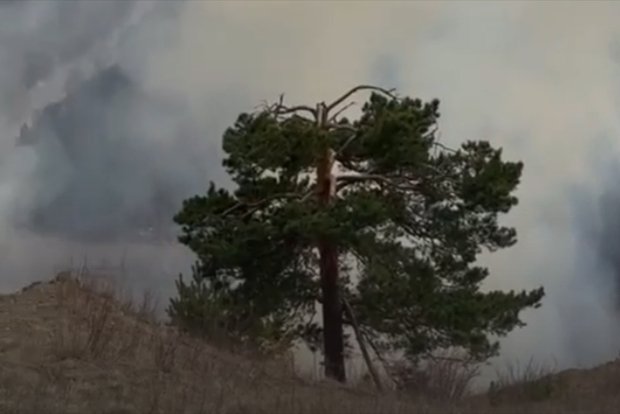 Вводная картинка