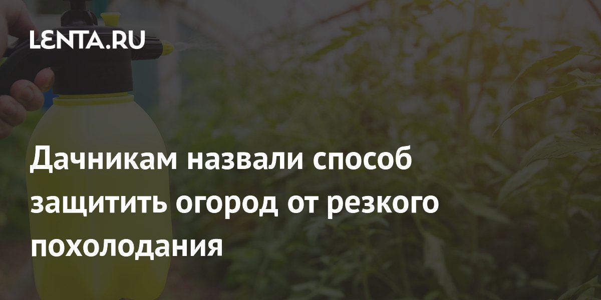 Дачникам назвали способ защитить огород от резкого похолодания