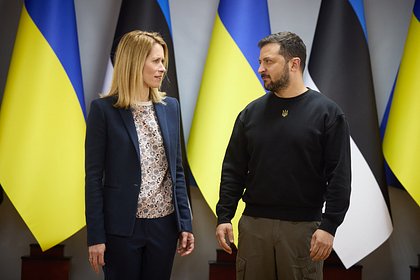 Зеленскому предрекли ссору с Каллас из-за Трампа
