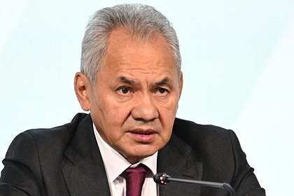 Шойгу назвал число фактически воюющих с Россией стран