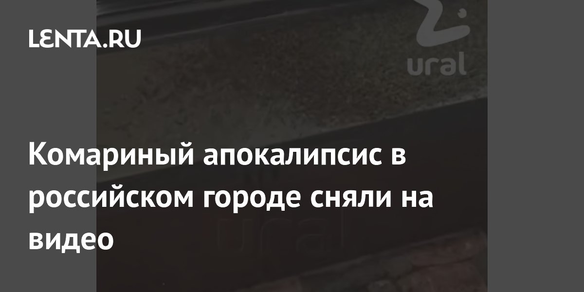 Комариный апокалипсис в российском городе сняли на видео