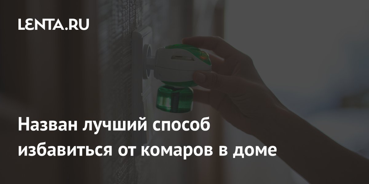 Назван лучший способ избавиться от комаров в доме