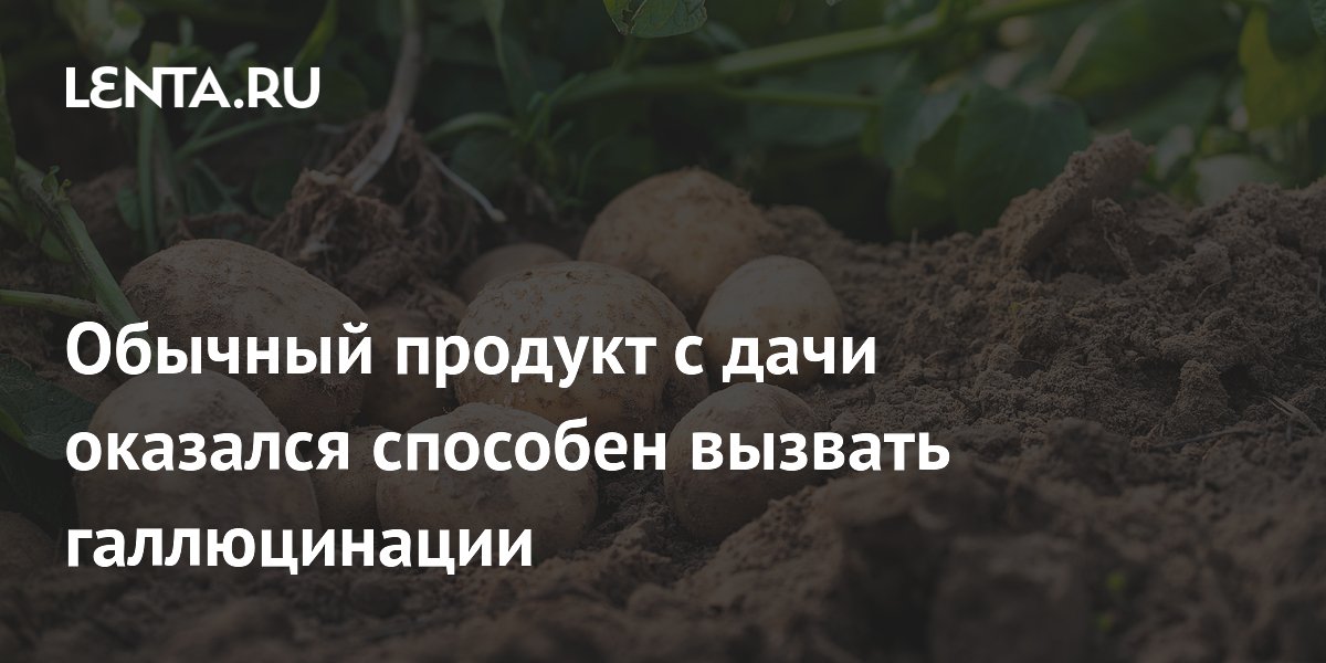 Обычный продукт с дачи оказался способен вызвать галлюцинации