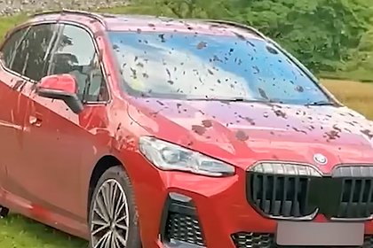 Фермер окатил навозом 20 люксовых автомобилей и прослыл героем