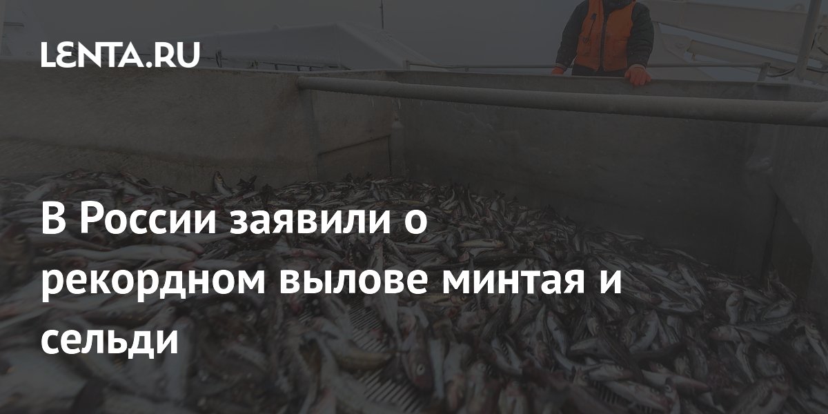 В России заявили о рекордном вылове минтая и сельди