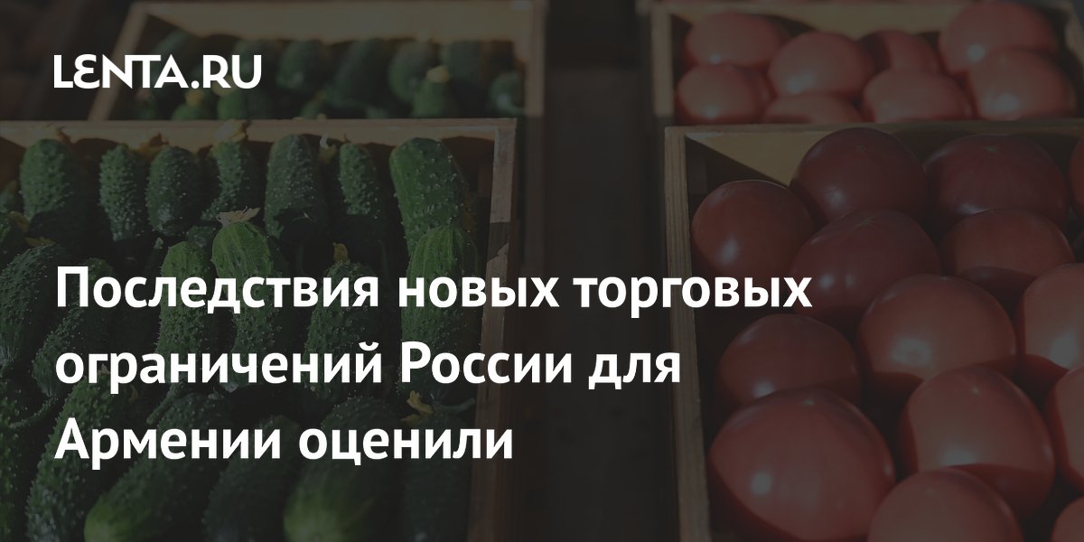 Последствия новых торговых ограничений России для Армении оценили