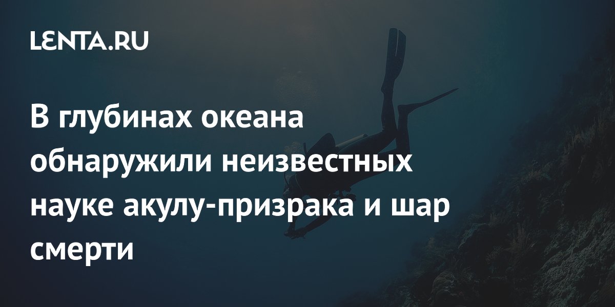В глубинах океана обнаружили неизвестных науке акулу-призрака и шар смерти