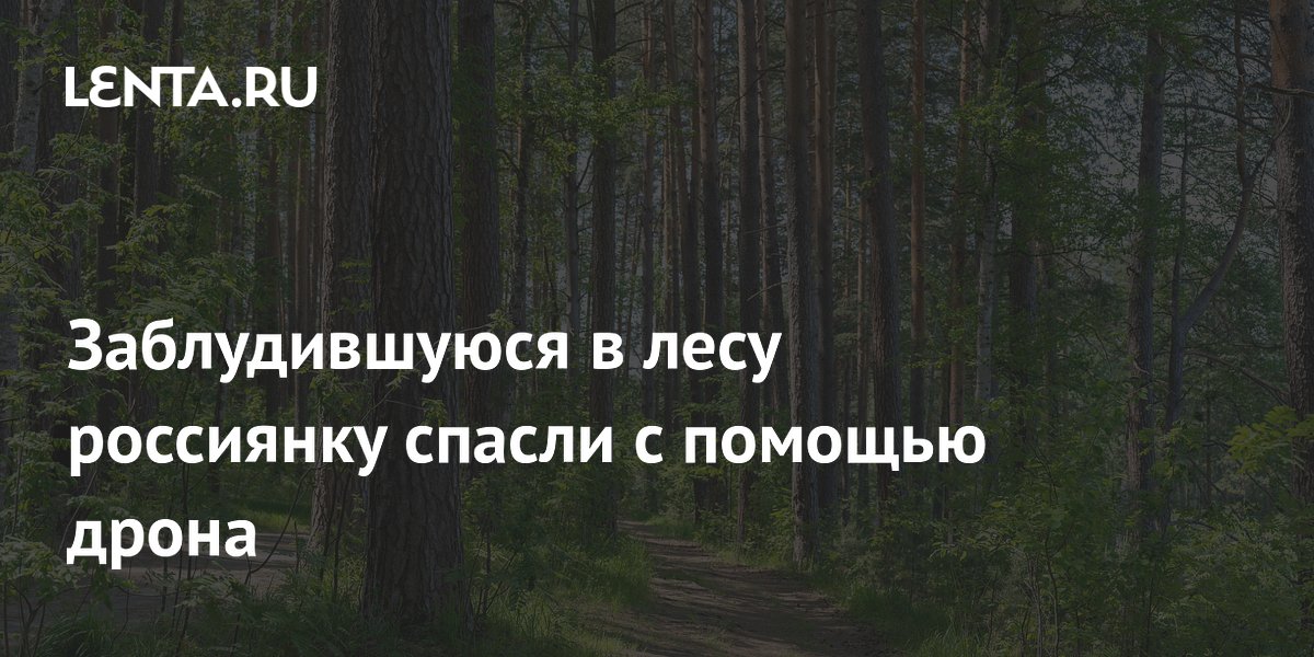 Заблудившуюся в лесу россиянку спасли с помощью дрона