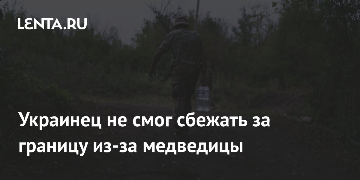 Украинец не смог сбежать за границу из-за медведицы