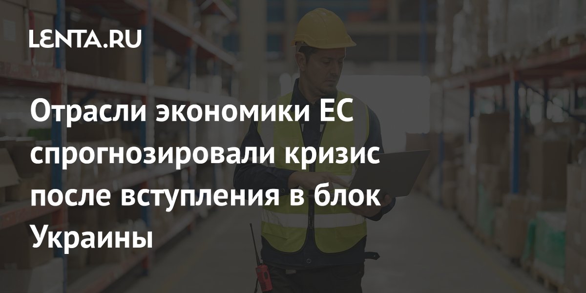 Отрасли экономики ЕС спрогнозировали кризис после вступления в блок Украины