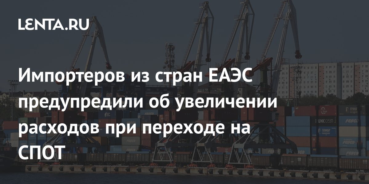 Импортеров из стран ЕАЭС предупредили об увеличении расходов при переходе на СПОТ
