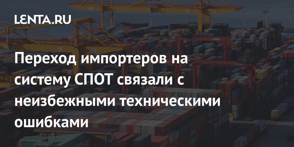 Переход импортеров на систему СПОТ связали с неизбежными техническими ошибками