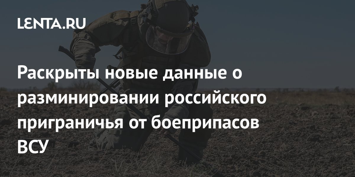 Раскрыты новые данные о разминировании российского приграничья от боеприпасов ВСУ