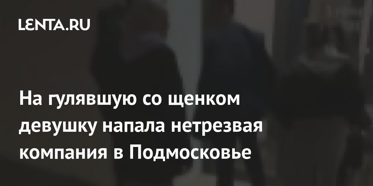 На гулявшую со щенком девушку напала нетрезвая компания в Подмосковье