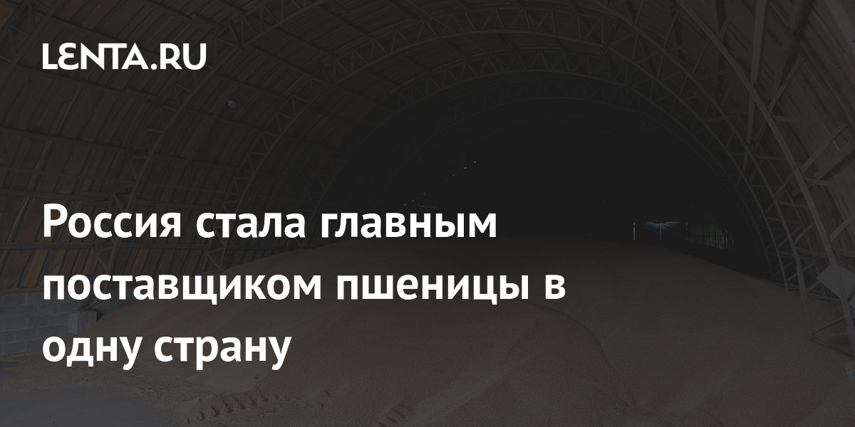 Россия стала главным поставщиком пшеницы в одну страну