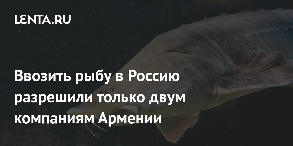 Ввозить рыбу в Россию разрешили только двум компаниям Армении