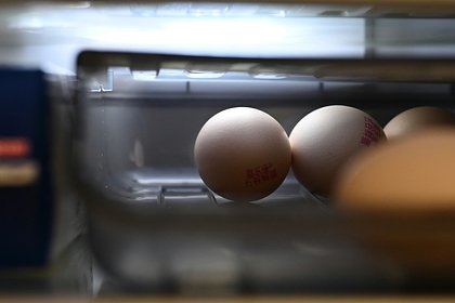 Россиянам раскрыли главную ошибку при хранении продуктов в холодильнике