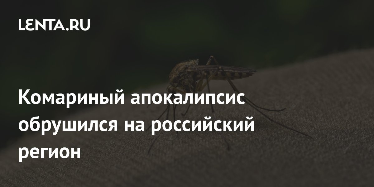 Комариный апокалипсис обрушился на российский регион