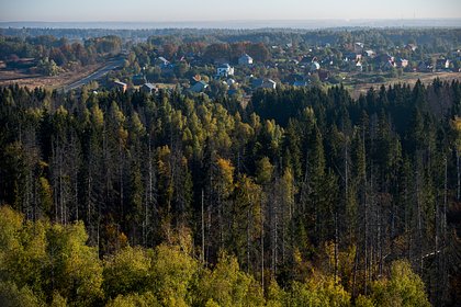 Жители Московской области вышли на народный сход и обратились к губернатору