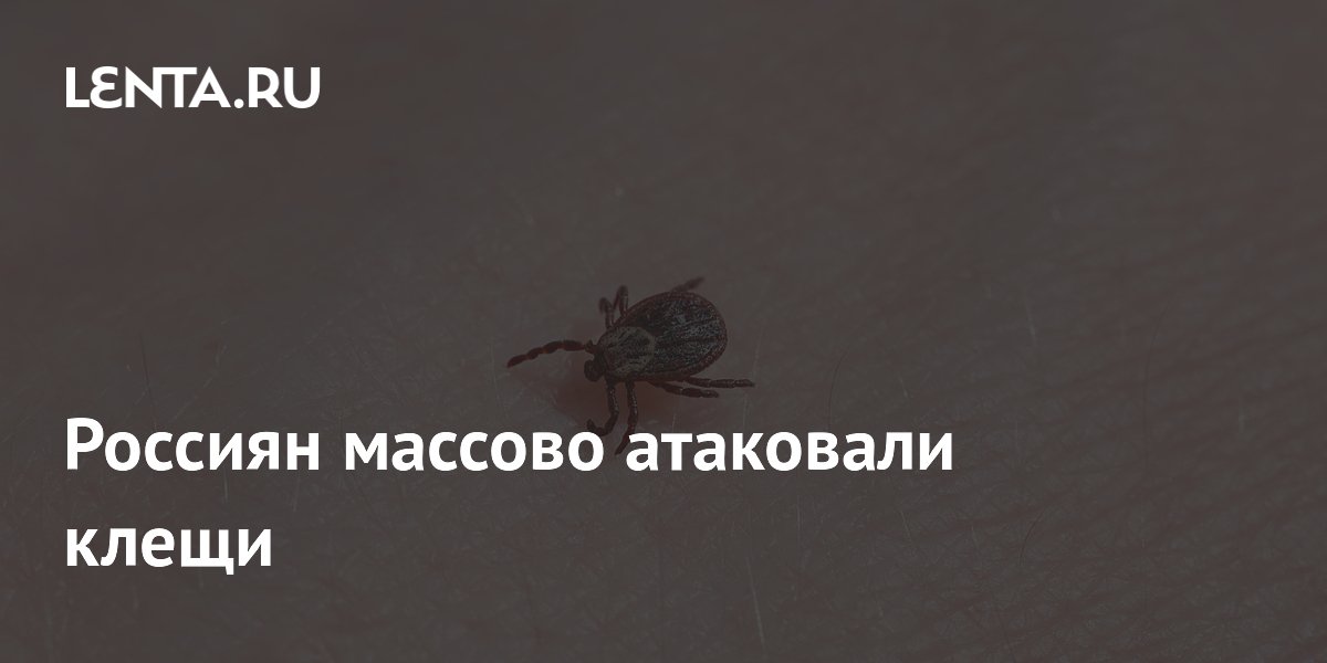 Россиян массово атаковали клещи