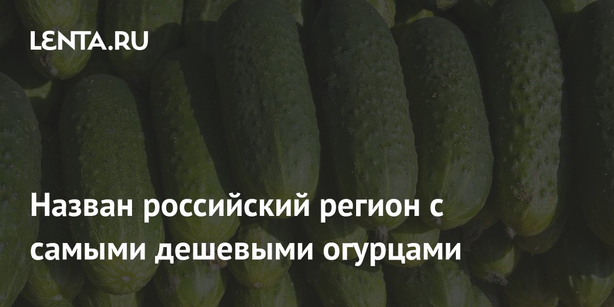 Назван российский регион с самыми дешевыми огурцами