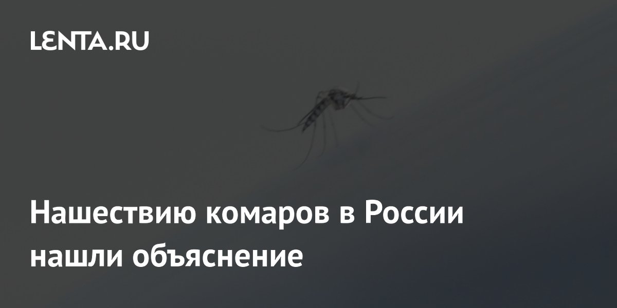 Нашествию комаров в России нашли объяснение
