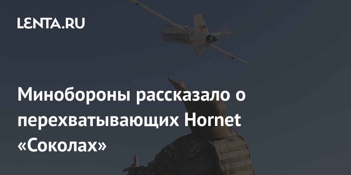 Минобороны рассказало о перехватывающих Hornet «Соколах»